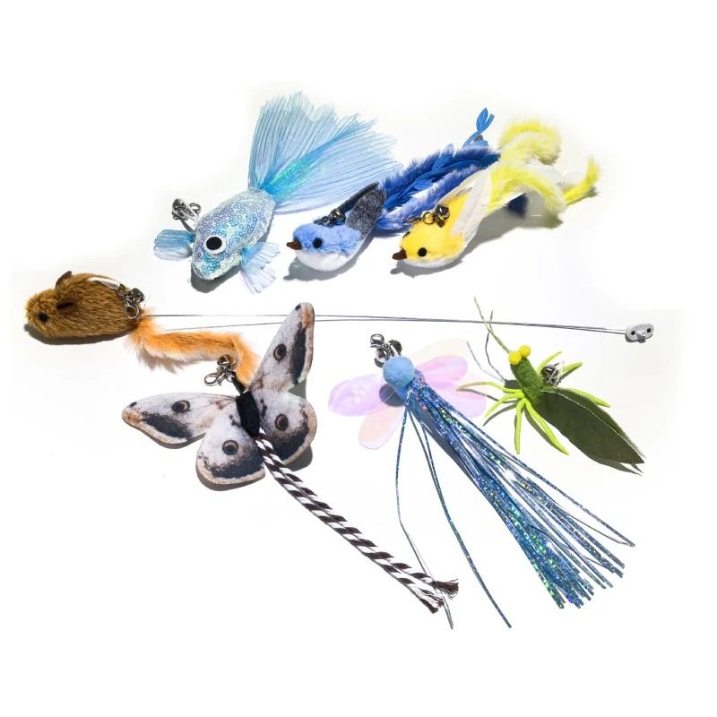 Enabot Enabot Rola Cat Teaser