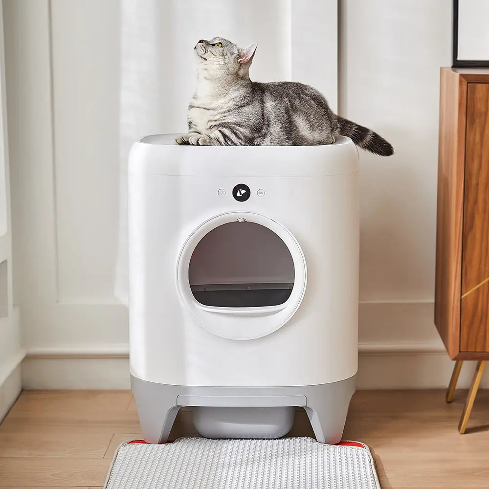 CX de Areia Inteligente Petkit Pura X Self-Cleaning Cat Litter Box home PET