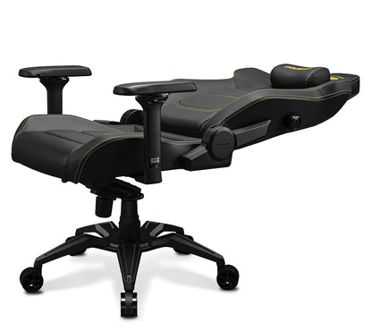 Cadeira Gaming Cougar Armor Evo Royal