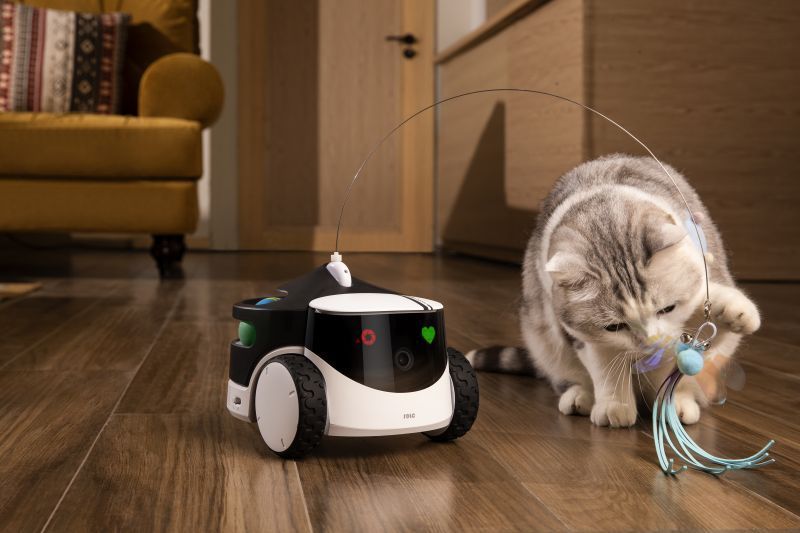 Enabot Robot de Companhia Enabot Rola Petpal 32GB