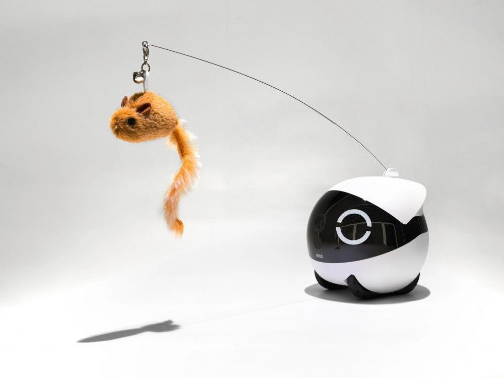 Enabot Enabot Rola Cat Teaser