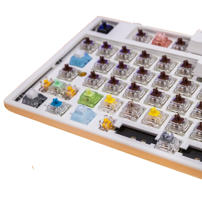 TECLADO-Ducky Switch Bundle