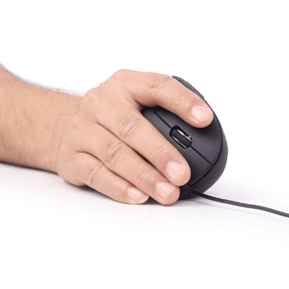 Rato Gembird Ergonómico 6 Botões USB 2.0 Preto