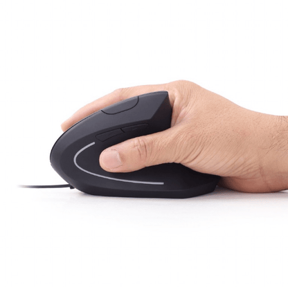 Rato Gembird Ergonómico 6 Botões USB 2.0 Preto